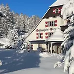Seewirt Hotel